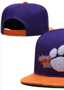 2023 All Team Fan's USA College Penn State Nittany Baseball Regulowany kapelusz na polu Rozmiar zamówienia Zamknięte płaskie rachunki bazowe snapback caps bone chapau a1