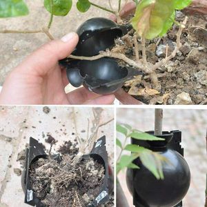 black ceramic planter Plant Root Growing Box Grafting Rooting Ball High Pressure Garden Breeding Case For Propagation Sapling