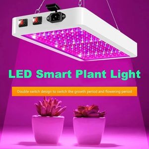 Luci progressive a LED 2000W 3000W Doppio interruttore Phytolamp Lampada per la crescita del chip impermeabile Illuminazione a scatola per piante a spettro completo