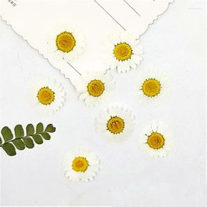 Flores decorativas naturais de crisântemo branco natural 120pcs ladadistas para férias decoração de cartão de presentes