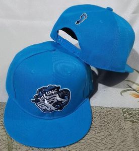 202 TÜM TAKIM FAN'IN USA KOLEJİ North Carolina TAR Heels Beyzbol Ayarlanabilir Şapka Tarla Karışımı Sipariş Boyutu Kapalı Düz ​​Fatura Topu Snapback Caps Bone Chapeau