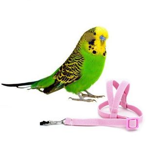Träna ny 1 st antibit Flying Training Rep Parrot Bird Pet Leash Kits Ultralight Harness Leash Soft Portable Pet Playthings