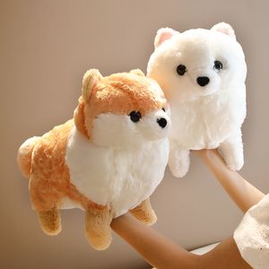 Brinquedo de pelúcia de cachorro pomeraniano fofo 50/60cm Animal macio de cachorro Pillow Pillow Christmas Presente para crianças Kawaii Valentine Present