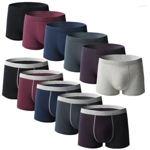 Mutande Plus Undies Biancheria intima da uomo di grandi dimensioni Mutandine da uomo grasso Pantaloncini da ragazzo in cotone più grandi Tessuto antibatterico Confortevole