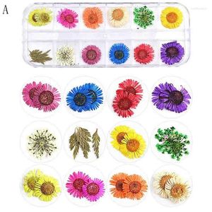 Decorative Flowers Dried Leaf Nail Decoration Natural Floral Sticker Dry Beauty Art Decals Jewelry UV Gel Polish Manicure