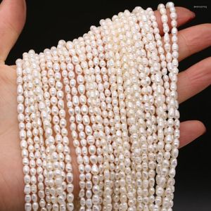 Perline Charms Perla d'acqua dolce Riso sfuso Perle naturali Per gioielli fatti a mano Collana Bracciale Creazione di accessori Filo 14''