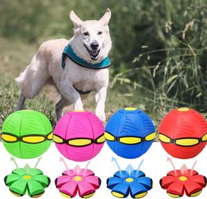 Pet Dog Toy Frisbee Ball Magic Flying UFO Balls Durable Soft Rubber Interactive Throwing Disc Ball Dogs Kid Outdoor Garden Beach Game Toys