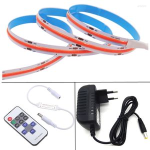 Strips High Color Efficiency DC12V 24v 10w COB Strip Light For House Lightting