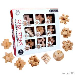 Giocattoli di intelligenza Fatti a mano IQ Legno Kong Ming Luban Lock Toys Adulti Bambini Educational Mind Game