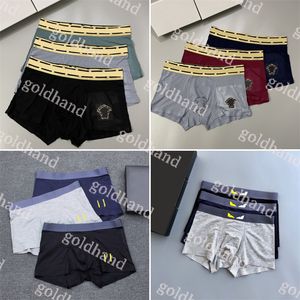 Designer Underwear Mens Underbyxor Luxury Brand Men High Quality Boxers Sexiga manliga underbänkar Briefs 3Pce/Box