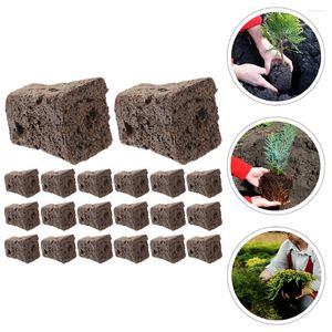 Flores decorativas 20 PCs Cultivation Blocks Blocks Block Nutrient Grow esponja solo