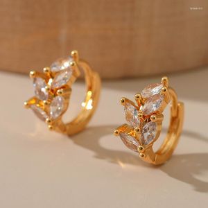 Orecchini a cerchio moda foglia design squisito mini zircone lucido orecchio di grano piccoli anelli a cerchio per donna regalo gioielli da donna