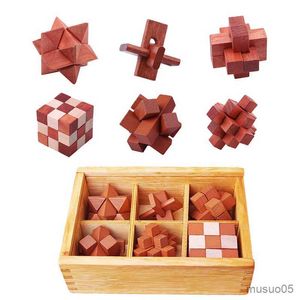 Intelligensleksaker 6 datorer/set Creative Wood Cube Kong Ming Luban Lock Kids Inslocking Education Toys Children IQ Brain Teaser Gifts