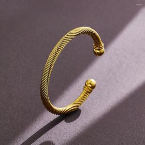 Bangle European And American Fashion Luxury Stainless Steel Wire Titanium Open Bracelet For Men Holiday Gift