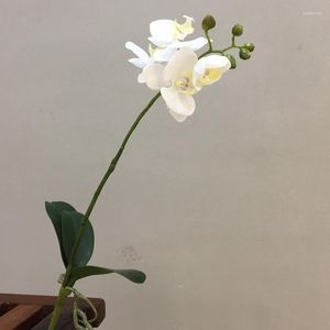 Decorative Flowers 6pcs 54cm Artificial Upscale Flower Wholesale Moth Orchid With Leaf Tea Table Dining-Table Home Furnishing Living Room