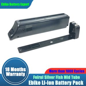 Bateria de íons de lítio de backup 48V 15AH FIST Silver Tubo médio Akku para 250W 500W FRDN05Z FATO FAT TOE EBIKE com carregador