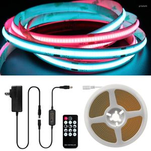 Strips Full Set COB LED Strip Lights Kit 12V Flexible Linear Diode Tape Light 480LEDs/m Room Decor Wall Red Green Blue Pink Dimmable