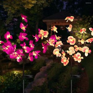 Outdoor dla wodoodpornego i łatki Lampy z kwiatów warzywowych dekoracje słoneczne świąteczne oświetlenie ogrodowe phalaenopsis