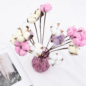 Decorative Flowers 10pcs Natural Cotton Dried Home Furnishings Wedding Decoration White Flower Branch Simple Modern