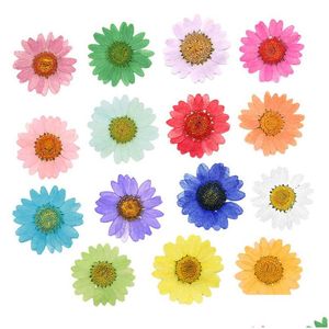 Faux Floral Greenery 120Pcs Pressed Press Dried Daisy Dry Flower Plants For Epoxy Resin Pendant Necklace Jewelry Making Craft Diy Dhcaa