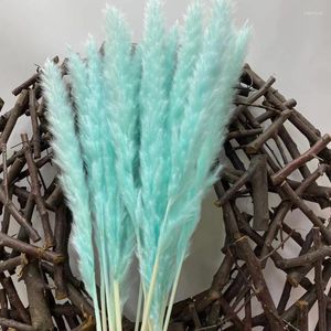 Dekorative Blumen, 15 Stück, Pampasgras, Phragmites, künstliche Pflanzen, Hochzeit, Blumenstrauß für Zuhause, Weihnachtsdekoration, Innenbereich