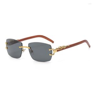 Sunglasses 2023 Classic Wood Grain Temples Small Frame Ocean Lens Fashion Men And Women Street Hip Hop Rectangular Glasses Uv400