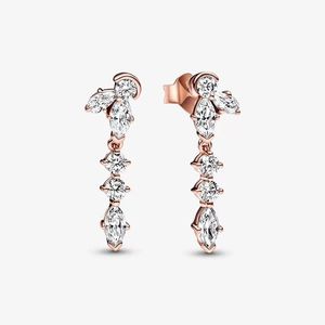 Sparkling Herbarium Cluster Drop örhängen för Pandora 18K Roes Gold Wedding Earring Set Designer smycken för kvinnor Crystal Diamond Earring med originallåda