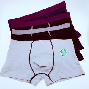 UNDUPTS 1 Pack Modal Inside Seksi Erkekler Rahat İpeksi Kamyonlar Boksör Panties Boksörler Fabrika Doğrudan Toptan