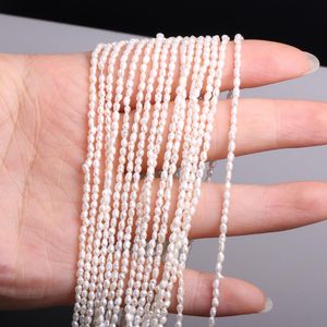 Crystal High Quality Natural Freshwater Pearl Beads Rice Shaped Punch Mini Pearls for Jewelry Making DIY Necklace Bracelet Accessories