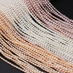 Crystal Natural Freshwater Pearls Beads Rice Shape Loose Pearl Beaded for Making Jewelry Necklace Bracelets Accessories Size 2.53mm