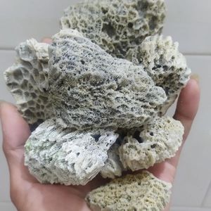 Aquariums 500g Nature Fish Tank Landscape Coral Reef Coral Reef Bone Skickat med 320 cm Lämplig för Tank Bottom Landscape Decorative