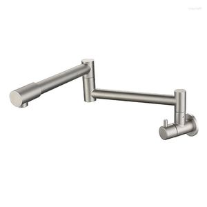 Mutfak muslukları duvara monte edilmiş katlanabilir musluk 304 paslanmaz çelik kurşunsuz soba tek soğuk lavabo musluk gerilebilir