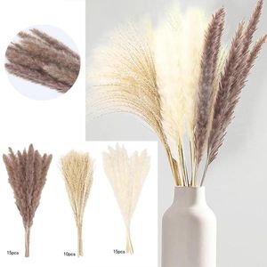 Flores decorativas 40 Hastes 15 marrons marrom 10 Reeds grama