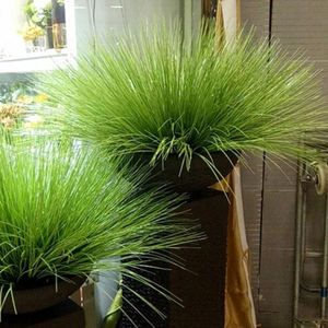 Decorative Flowers & Wreaths 64cm Artificial Leave Simulation Leaf Onion Grass Silk Flower Decoration Arranging Lawn Engineering Plants