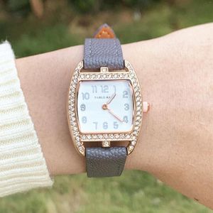 Zegarek Pablo Raez Top Fashion Grey Color Watch for Women H Crystal Quartz Wristwatch Quality Diamond Femme Relij