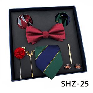 Erkekler Business Tie Polyester Dokuma Baskı SHZ-25