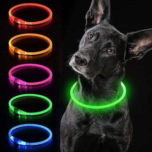 Cut USB Charge Pies Trening Kołnierz LED Outdoor Luminous Charger Pet Dog Kllare Light Regulowane 6 colors LED Flashing Dog