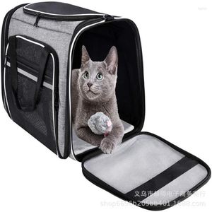 Kattbärare husdjurspåsar Katter och hundar reser Takeaway Portable Car Airline Dog Bag Foldbar Carrier