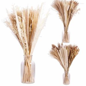 Flores decorativas pampas decoração de grama natural buquê fofo seco boho longa sala de estar arco de casamento