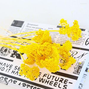 Decorative Flowers 30g Dried Flower Big Fragrant Chrysanthemum Pography Props For Decoration