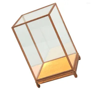 Present Wrap Wood Carving Glass Cover Show Supply Display Case Desktop Box Hushåll Transparent