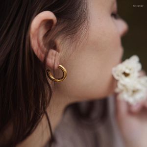 Hoop Earrings 25mm Gold Color Earring Simple Thick Round Circle Stainless Steel For Women Punk Hiphop Jewelry Wholesale Drop