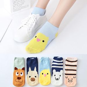 Women Socks 5 Pairs Cotton Cute Slippers Spring Summer Female Girl Bear Dog Pig Animal Kawaii Short Ankle Sock Set For