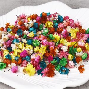 Decorative Flowers & Wreaths 140/280PCS Real Dried Brazil Little Star Flower For DIY Art Craft Epoxy Resin Candle Making Jewellery MakingDec