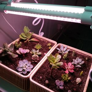LED Grow Lights Full Spectrum Grows Lighting Strips T8 GrowLighting Bulbs Plant Lights for Indoor Plants Greenhouse Pinkish Whites Linkable Designs crestech888