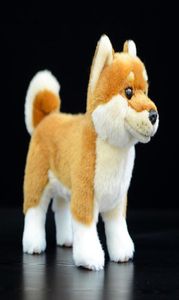 Livsliknande japanska shiba inu fylld plysch leksak söt verklig stativ gula mjuka hund djur valp modell simulering barn gåva docka 25009732