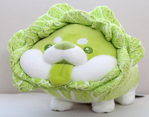 Cabbage Shiba Inu Dog Cute Vegetable Fairy Anime Plush Toy Fluffy Gevulde Plant Soft Doll Kawaii Pillow Baby Kids Toys Gift 2203044029163