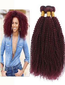 Virgem brasileira 99J Afro Kinky Curly Hair Weaves 3pcs lote para mulher negra Borgonha Kinky Curly Haft Extension 1030 polegadas