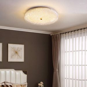 天井のライトモダンな備品ライトカラー変化LEDバスルーム天井メタルランプ