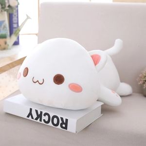 دمى Plush 35-65cm Cat Soft Plush Toy Kawaii الكذب CAT كبير وسادة معانقة لطيفة الراكون دمى محشوة وسادة حيوان جميلة للبنات 230523